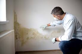 Carey, OH Mold Inspection Company